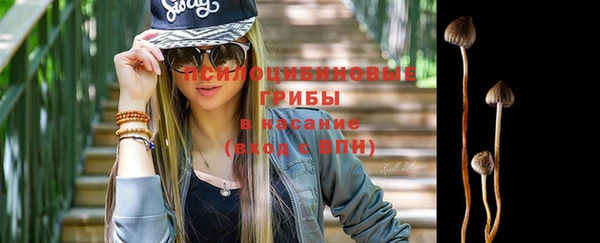 спиды Инсар
