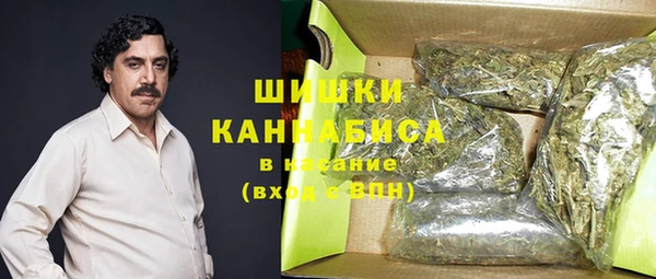 спиды Инсар