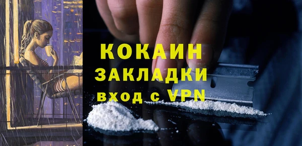 спиды Инсар