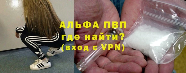 ГАЛЛЮЦИНОГЕННЫЕ ГРИБЫ Иннополис