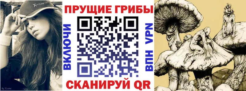 Псилоцибиновые грибы Magic Shrooms  хочу   Лесозаводск 