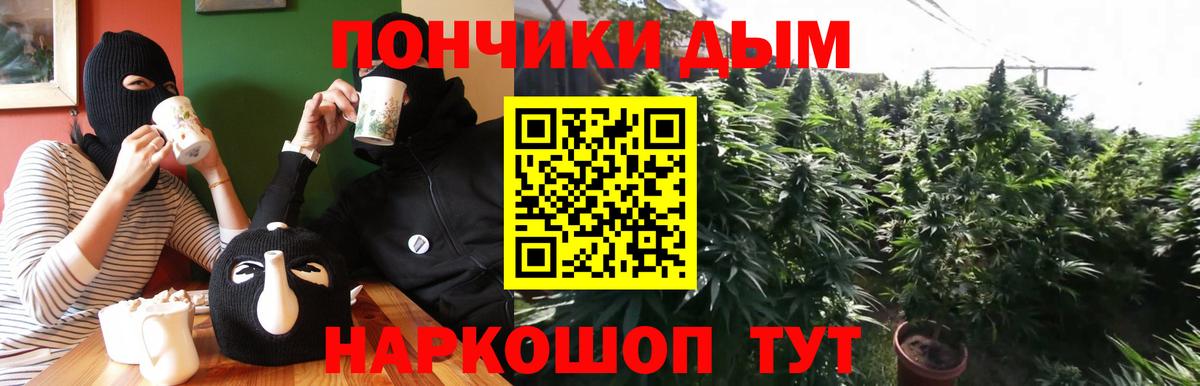 Шишки марихуана конопля  Вход с VPN  Бошки марихуана Bruce Banner  Лесозаводск 